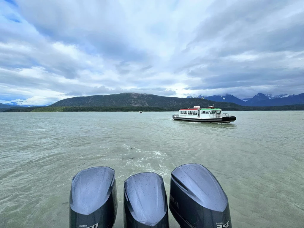 Cruising with Danny and Peter, Holland America Line, Westerdam, Haines (Skagway), Alaska, United States | Westerdam ship navigating Alaskan fjords, with views of Davidson Glacier and wildlife sightings during the Arctic Circle cruise. Includes images of exploring Haines Sheldon Museum, canoeing towards the glacier, and the forest walk to Glacier Point.