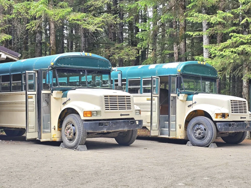 Cruising with Danny and Peter, Holland America Line, Westerdam, Haines (Skagway), Alaska, United States | Westerdam ship navigating Alaskan fjords, with views of Davidson Glacier and wildlife sightings during the Arctic Circle cruise. Includes images of exploring Haines Sheldon Museum, canoeing towards the glacier, and the forest walk to Glacier Point.