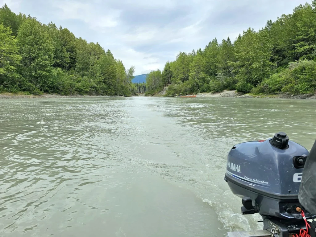 Cruising with Danny and Peter, Holland America Line, Westerdam, Haines (Skagway), Alaska, United States | Westerdam ship navigating Alaskan fjords, with views of Davidson Glacier and wildlife sightings during the Arctic Circle cruise. Includes images of exploring Haines Sheldon Museum, canoeing towards the glacier, and the forest walk to Glacier Point.
