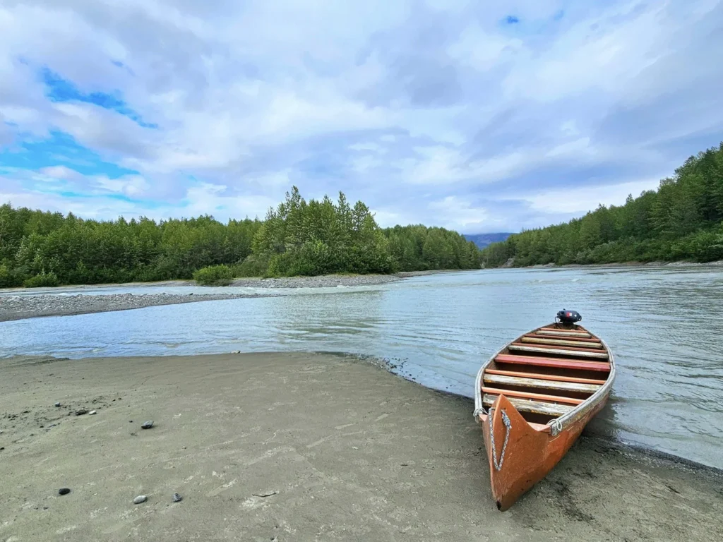 Cruising with Danny and Peter, Holland America Line, Westerdam, Haines (Skagway), Alaska, United States | Westerdam ship navigating Alaskan fjords, with views of Davidson Glacier and wildlife sightings during the Arctic Circle cruise. Includes images of exploring Haines Sheldon Museum, canoeing towards the glacier, and the forest walk to Glacier Point.