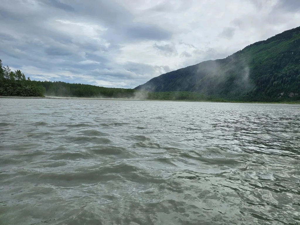 Cruising with Danny and Peter, Holland America Line, Westerdam, Haines (Skagway), Alaska, United States | Westerdam ship navigating Alaskan fjords, with views of Davidson Glacier and wildlife sightings during the Arctic Circle cruise. Includes images of exploring Haines Sheldon Museum, canoeing towards the glacier, and the forest walk to Glacier Point.