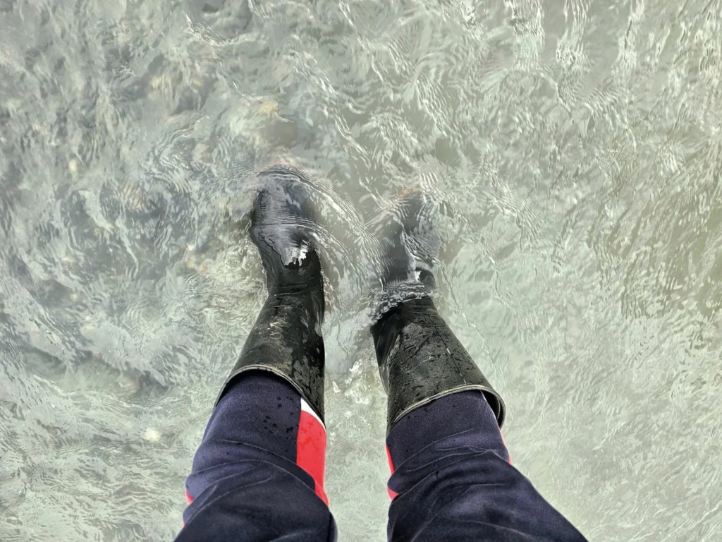 Cruising with Danny and Peter, Holland America Line, Westerdam, Haines (Skagway), Alaska, United States | Westerdam ship navigating Alaskan fjords, with views of Davidson Glacier and wildlife sightings during the Arctic Circle cruise. Includes images of exploring Haines Sheldon Museum, canoeing towards the glacier, and the forest walk to Glacier Point.