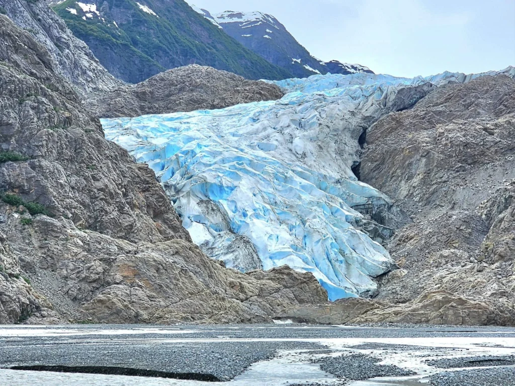 Cruising with Danny and Peter, Holland America Line, Westerdam, Haines (Skagway), Alaska, United States | Westerdam ship navigating Alaskan fjords, with views of Davidson Glacier and wildlife sightings during the Arctic Circle cruise. Includes images of exploring Haines Sheldon Museum, canoeing towards the glacier, and the forest walk to Glacier Point.