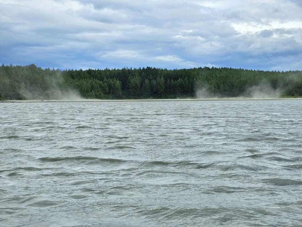 Cruising with Danny and Peter, Holland America Line, Westerdam, Haines (Skagway), Alaska, United States | Westerdam ship navigating Alaskan fjords, with views of Davidson Glacier and wildlife sightings during the Arctic Circle cruise. Includes images of exploring Haines Sheldon Museum, canoeing towards the glacier, and the forest walk to Glacier Point.