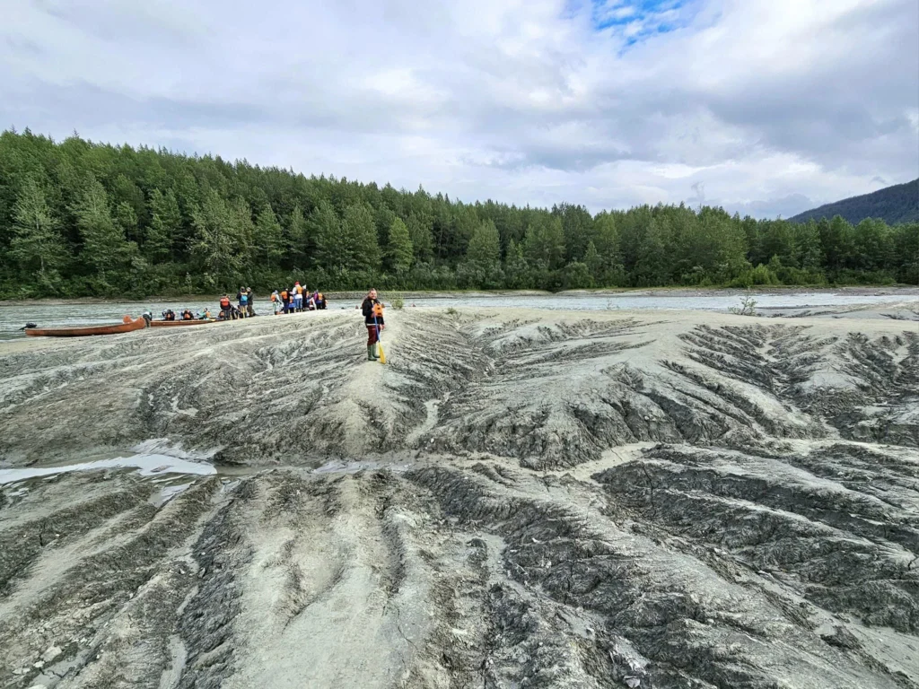 Cruising with Danny and Peter, Holland America Line, Westerdam, Haines (Skagway), Alaska, United States | Westerdam ship navigating Alaskan fjords, with views of Davidson Glacier and wildlife sightings during the Arctic Circle cruise. Includes images of exploring Haines Sheldon Museum, canoeing towards the glacier, and the forest walk to Glacier Point.