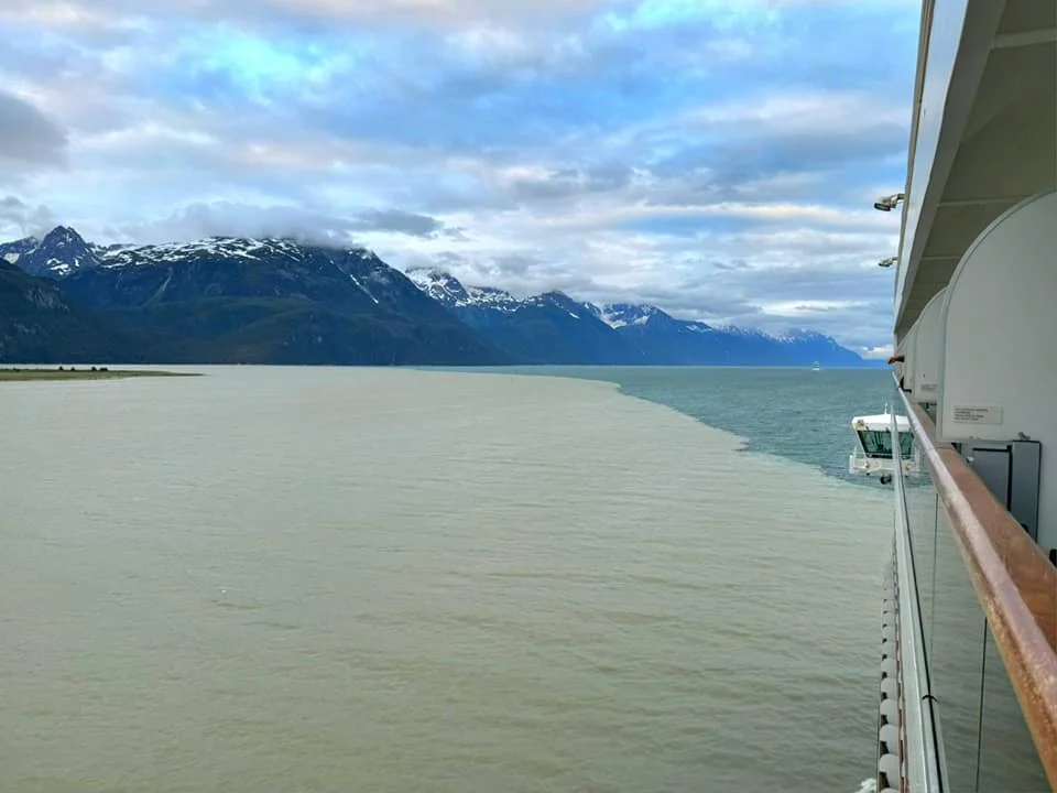 Cruising with Danny and Peter, Holland America Line, Westerdam, Haines (Skagway), Alaska, United States | Westerdam ship navigating Alaskan fjords, with views of Davidson Glacier and wildlife sightings during the Arctic Circle cruise. Includes images of exploring Haines Sheldon Museum, canoeing towards the glacier, and the forest walk to Glacier Point.