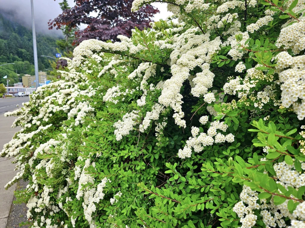 Cruising with Danny and Peter, Holland America Line, Westerdam, Juneau, Alaska, United States | Boat approaching Sentinel Island Lighthouse during Alaska whale watching tour, with humpback whale and stunning coastal scenery in the background.
