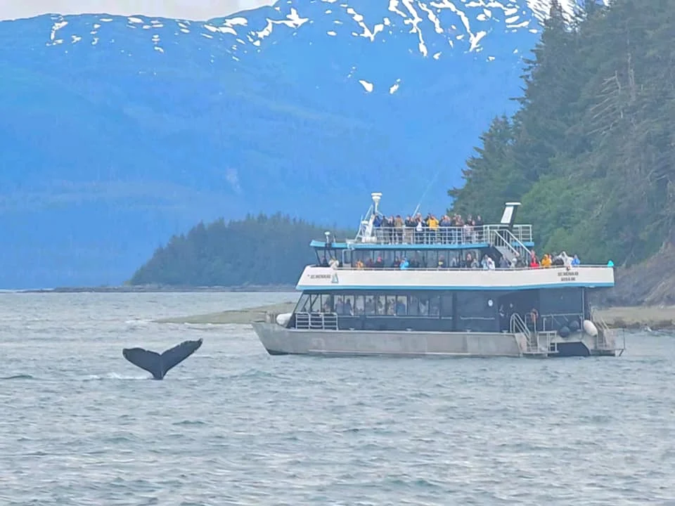Cruising with Danny and Peter, Holland America Line, Westerdam, Juneau, Alaska, United States | Boat approaching Sentinel Island Lighthouse during Alaska whale watching tour, with humpback whale and stunning coastal scenery in the background.