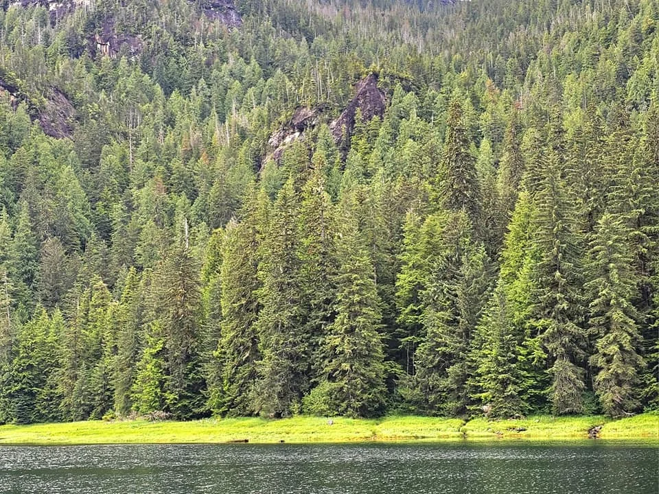 Cruising with Danny and Peter, Holland America Line, Westerdam, Misty Fjords, Alaska, United States | Passengers aboard the Holland America Line's Westerdam transition to the smaller Wilderness Explorer vessel for the Misty Fjords & Wilderness Explorer tour, offering breathtaking views of Misty Fjords National Monument, stunning waterfalls, and diverse wildlife including seals and eagles, all part of the unforgettable Alaska Arctic Circle cruise experience.