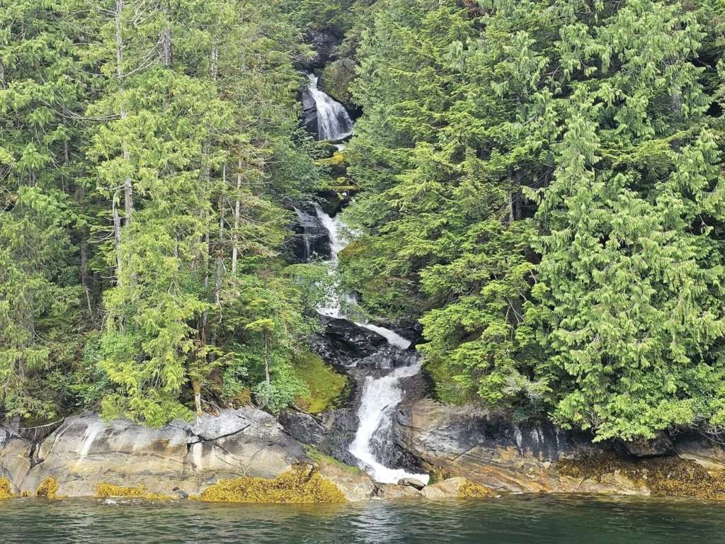 Cruising with Danny and Peter, Holland America Line, Westerdam, Misty Fjords, Alaska, United States | Passengers aboard the Holland America Line's Westerdam transition to the smaller Wilderness Explorer vessel for the Misty Fjords & Wilderness Explorer tour, offering breathtaking views of Misty Fjords National Monument, stunning waterfalls, and diverse wildlife including seals and eagles, all part of the unforgettable Alaska Arctic Circle cruise experience.