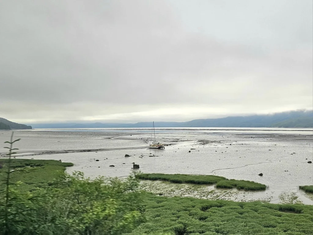 Cruising with Danny and Peter, Holland America Line, Westerdam, Prince Rupert, British Columbia, Canada | In the heart of British Columbia’s wild embrace, Where the Great Bear Rainforest weaves its mystic lace, A journey unfolds, both rail and road in stride, Through nature’s grandeur, where dreams and landscapes collide. From Prince Rupert’s charm, the train departs with grace, A serpentine path through forests’ ancient face, Panoramic windows frame a living, verdant dream, As the Skeena River’s flow whispers its serene theme. Mountains rise like giants, draped in emerald hues, While bald eagles soar, their shadows fleeting views, Black bears wander softly through the forest deep, And mountain goats on rugged cliffs silently leap. Kleanza Creek’s waterfalls cascade with a roar, Nature’s symphony on the rainforest’s floor, And Exchamsiks Park, a jewel of glacial light, Where shimmering pools reflect the day’s pure delight. From rail to road, the scenic drive unveils, A tapestry of mountains and verdant trails, Each turn a canvas painted with the wild’s own hand, A journey through a wonderland, vast and grand. Back in Prince Rupert, where history finds its place, The Museum’s treasures weave a cultural grace, Totem poles and masks tell tales of ancient lore, In this land where the past and present gently soar. Through the Great Bear Rainforest, we wandered wide, In rail and road’s embrace, where nature and culture collide, A journey of wonder, where memories are spun, In the heart of British Columbia, under the sun.