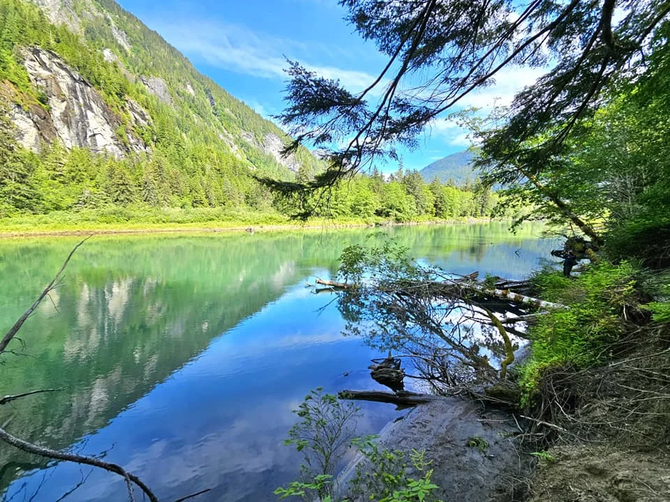 Cruising with Danny and Peter, Holland America Line, Westerdam, Prince Rupert, British Columbia, Canada | In the heart of British Columbia’s wild embrace, Where the Great Bear Rainforest weaves its mystic lace, A journey unfolds, both rail and road in stride, Through nature’s grandeur, where dreams and landscapes collide. From Prince Rupert’s charm, the train departs with grace, A serpentine path through forests’ ancient face, Panoramic windows frame a living, verdant dream, As the Skeena River’s flow whispers its serene theme. Mountains rise like giants, draped in emerald hues, While bald eagles soar, their shadows fleeting views, Black bears wander softly through the forest deep, And mountain goats on rugged cliffs silently leap. Kleanza Creek’s waterfalls cascade with a roar, Nature’s symphony on the rainforest’s floor, And Exchamsiks Park, a jewel of glacial light, Where shimmering pools reflect the day’s pure delight. From rail to road, the scenic drive unveils, A tapestry of mountains and verdant trails, Each turn a canvas painted with the wild’s own hand, A journey through a wonderland, vast and grand. Back in Prince Rupert, where history finds its place, The Museum’s treasures weave a cultural grace, Totem poles and masks tell tales of ancient lore, In this land where the past and present gently soar. Through the Great Bear Rainforest, we wandered wide, In rail and road’s embrace, where nature and culture collide, A journey of wonder, where memories are spun, In the heart of British Columbia, under the sun.