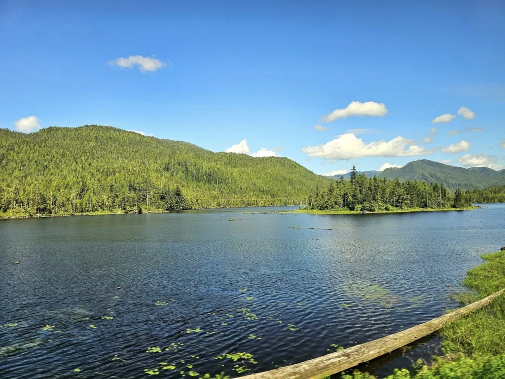 Cruising with Danny and Peter, Holland America Line, Westerdam, Prince Rupert, British Columbia, Canada | In the heart of British Columbia’s wild embrace, Where the Great Bear Rainforest weaves its mystic lace, A journey unfolds, both rail and road in stride, Through nature’s grandeur, where dreams and landscapes collide. From Prince Rupert’s charm, the train departs with grace, A serpentine path through forests’ ancient face, Panoramic windows frame a living, verdant dream, As the Skeena River’s flow whispers its serene theme. Mountains rise like giants, draped in emerald hues, While bald eagles soar, their shadows fleeting views, Black bears wander softly through the forest deep, And mountain goats on rugged cliffs silently leap. Kleanza Creek’s waterfalls cascade with a roar, Nature’s symphony on the rainforest’s floor, And Exchamsiks Park, a jewel of glacial light, Where shimmering pools reflect the day’s pure delight. From rail to road, the scenic drive unveils, A tapestry of mountains and verdant trails, Each turn a canvas painted with the wild’s own hand, A journey through a wonderland, vast and grand. Back in Prince Rupert, where history finds its place, The Museum’s treasures weave a cultural grace, Totem poles and masks tell tales of ancient lore, In this land where the past and present gently soar. Through the Great Bear Rainforest, we wandered wide, In rail and road’s embrace, where nature and culture collide, A journey of wonder, where memories are spun, In the heart of British Columbia, under the sun.