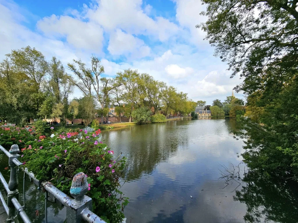 Cruising with Danny and Peter, MSC Cruises, MSC Preziosa, Zeebrugge, Brugge, Brussels, Belgium | Pictures from our Bruges day trip during the MSC Cruises Bruges excursion, showcasing the stunning Market Square Bruges, the iconic Belfry Tower Bruges, a scenic Belgium canal cruise, and beautiful views of the Chapel of the Holy Blood, along with delightful moments at the Butcher’s Cut restaurant and the MSC Voyagers Club event in the Safari Lounge MSC Preziosa.