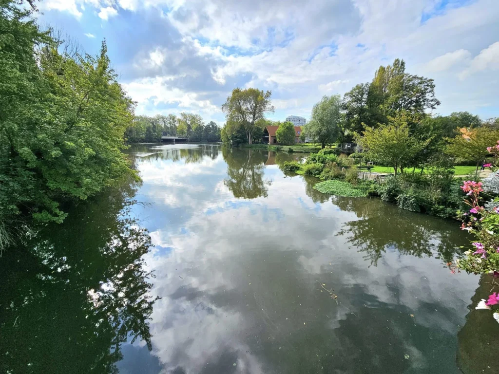 Cruising with Danny and Peter, MSC Cruises, MSC Preziosa, Zeebrugge, Brugge, Brussels, Belgium | Pictures from our Bruges day trip during the MSC Cruises Bruges excursion, showcasing the stunning Market Square Bruges, the iconic Belfry Tower Bruges, a scenic Belgium canal cruise, and beautiful views of the Chapel of the Holy Blood, along with delightful moments at the Butcher’s Cut restaurant and the MSC Voyagers Club event in the Safari Lounge MSC Preziosa.