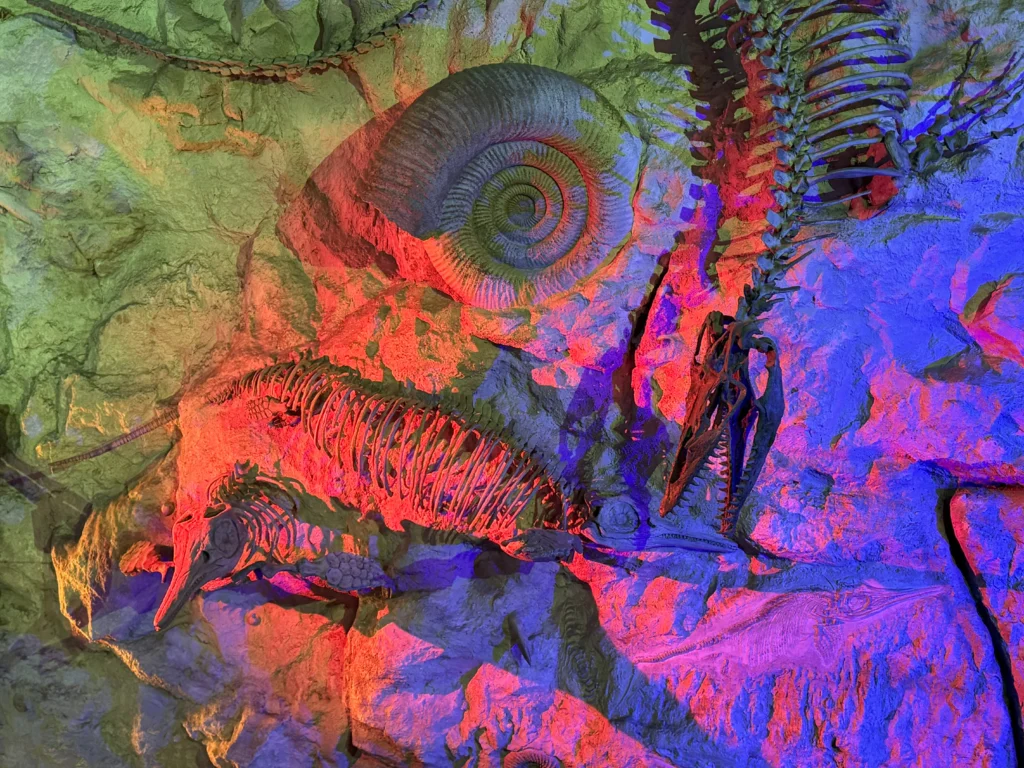 Cruising with Danny and Peter, P&O Ferries, Pride of Rotterdam, Kingston upon Hull, England | Images showcasing a Minicruise to England with P&O Ferries, including the Pride of Rotterdam ferry, scenic North Sea views, gourmet dining aboard, attractions in Hull such as The Deep aquarium, the Streetlife Museum of Transport, Hull Minster, and vibrant city experiences like shopping and dining, capturing the highlights of a UK short break cruise from Rotterdam to Hull.