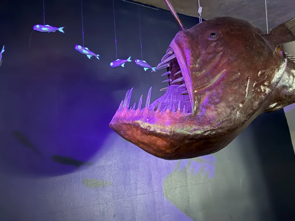 Cruising with Danny and Peter, P&O Ferries, Pride of Rotterdam, Kingston upon Hull, England | Images showcasing a Minicruise to England with P&O Ferries, including the Pride of Rotterdam ferry, scenic North Sea views, gourmet dining aboard, attractions in Hull such as The Deep aquarium, the Streetlife Museum of Transport, Hull Minster, and vibrant city experiences like shopping and dining, capturing the highlights of a UK short break cruise from Rotterdam to Hull.