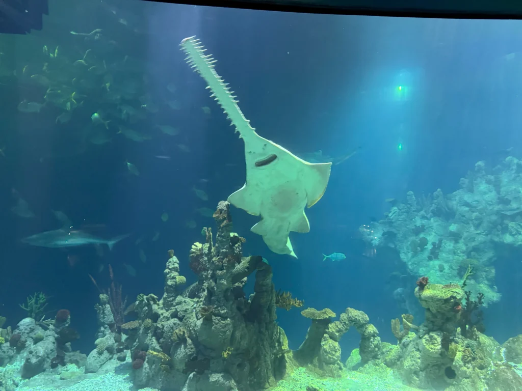 Cruising with Danny and Peter, P&O Ferries, Pride of Rotterdam, Kingston upon Hull, England | Images showcasing a Minicruise to England with P&O Ferries, including the Pride of Rotterdam ferry, scenic North Sea views, gourmet dining aboard, attractions in Hull such as The Deep aquarium, the Streetlife Museum of Transport, Hull Minster, and vibrant city experiences like shopping and dining, capturing the highlights of a UK short break cruise from Rotterdam to Hull.