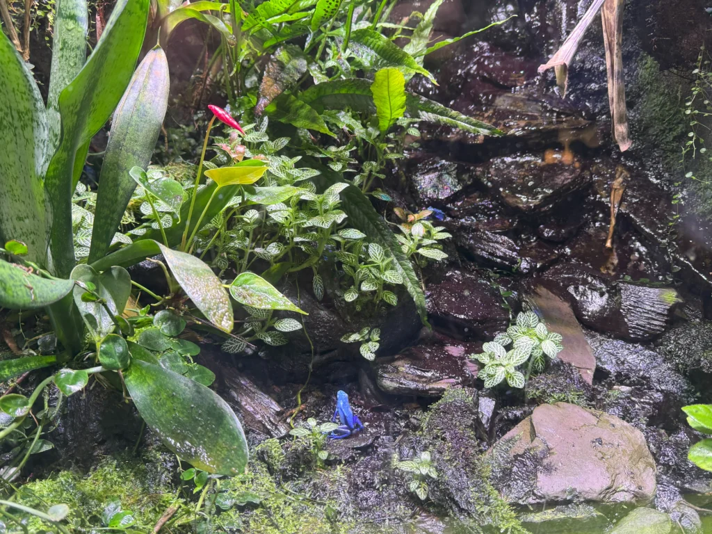 Cruising with Danny and Peter, P&O Ferries, Pride of Rotterdam, Kingston upon Hull, England | Images showcasing a Minicruise to England with P&O Ferries, including the Pride of Rotterdam ferry, scenic North Sea views, gourmet dining aboard, attractions in Hull such as The Deep aquarium, the Streetlife Museum of Transport, Hull Minster, and vibrant city experiences like shopping and dining, capturing the highlights of a UK short break cruise from Rotterdam to Hull.