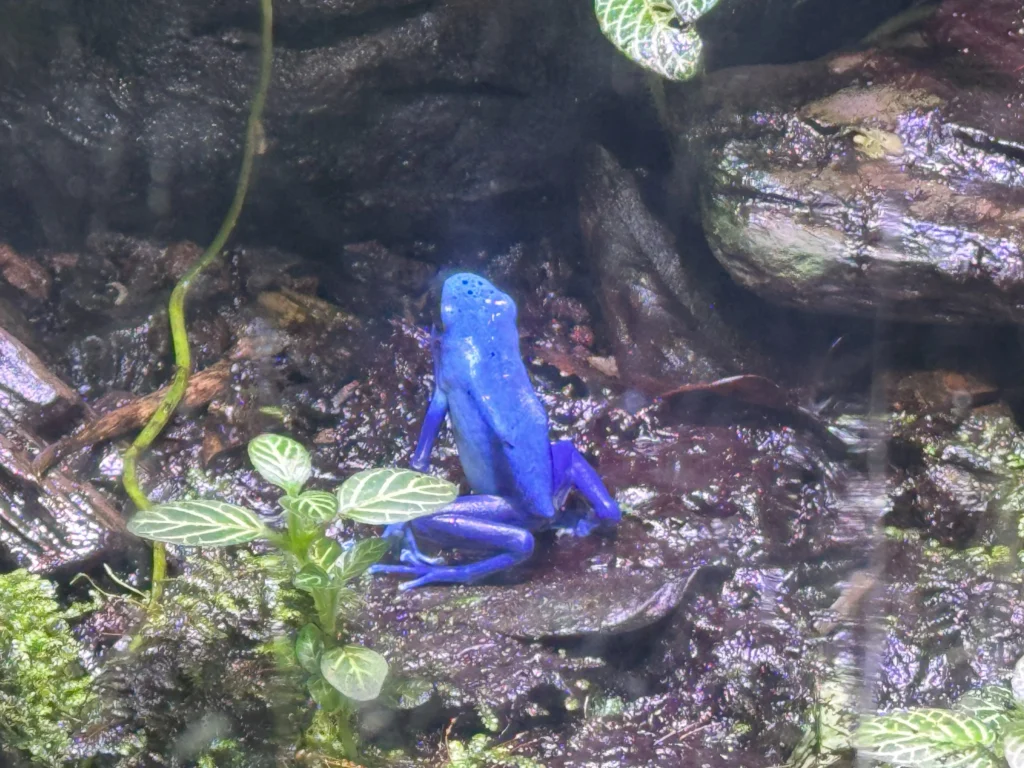 Cruising with Danny and Peter, P&O Ferries, Pride of Rotterdam, Kingston upon Hull, England | Images showcasing a Minicruise to England with P&O Ferries, including the Pride of Rotterdam ferry, scenic North Sea views, gourmet dining aboard, attractions in Hull such as The Deep aquarium, the Streetlife Museum of Transport, Hull Minster, and vibrant city experiences like shopping and dining, capturing the highlights of a UK short break cruise from Rotterdam to Hull.