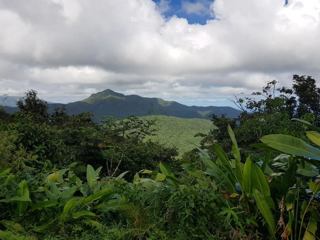 Martinique 4×4 Adventure: Conquer the Island’s Untamed Terrain 6 Cruising with Danny and Peter, Holland America Line, Zuiderdam, Fort De France, Martinique | Embarking on a thrilling Martinique 4x4 adventure through rugged terrain, showcasing lush rainforests, panoramic views from Mount Pelée, and hidden Caribbean beaches, capturing the essence of off-road exploration in the Caribbean.