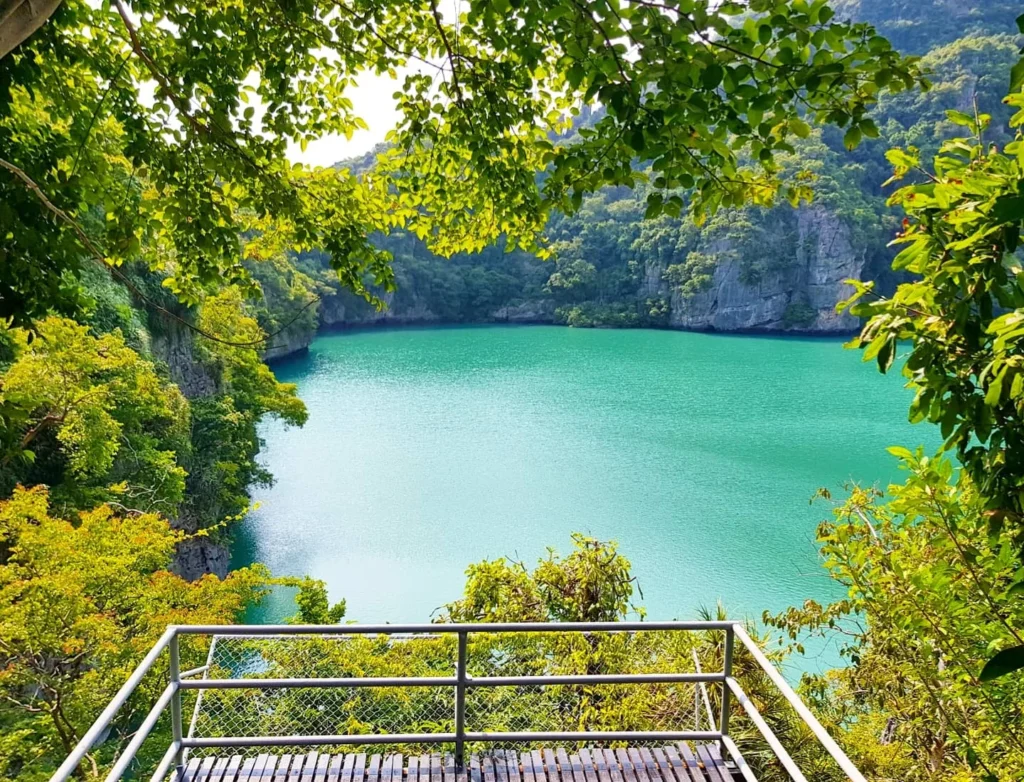 Cruising with Danny and Peter, Holland America Line, Westerdam, Nathon, Koh Samui, Thailand | Breathtaking panoramic views of Ang Thong National Marine Park showcasing emerald lagoons and dramatic limestone formations, featuring secluded beaches and vibrant tropical landscapes, highlighting the adventure of exploring hidden coves and the essence of eco-tourism in this stunning marine conservation area.