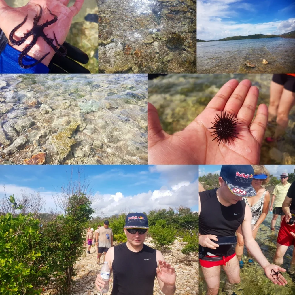 Cruising with Danny and Peter, Holland America Line, Nieuw Amsterdam, Saint Thomas, United States Virgin Islands | An adventurous scene capturing the essence of a St. Thomas adventure with vibrant images of kayaking along the pristine coastline, snorkeling amidst colorful coral reefs, and hiking on lush island trails. The images showcase the breathtaking natural beauty of the US Virgin Islands, highlighting the outdoor activities and eco-tourism experiences available in St. Thomas.