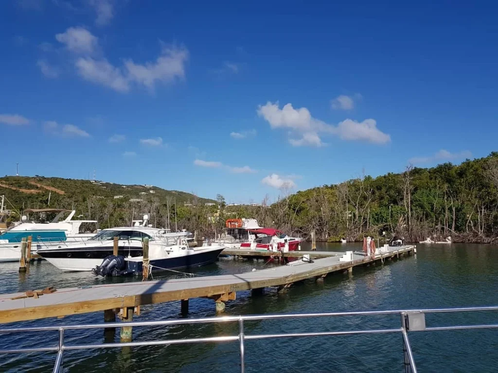 Cruising with Danny and Peter, Holland America Line, Zuiderdam, Charlotte Amalie, US Virgin Islands | A scenic view of a luxury catamaran sailing in the tranquil Caribbean waters near Charlotte Amalie, showcasing stunning landscapes of the U.S. Virgin Islands, vibrant marine life during snorkeling excursions, and secluded Caribbean beaches ideal for exploration.