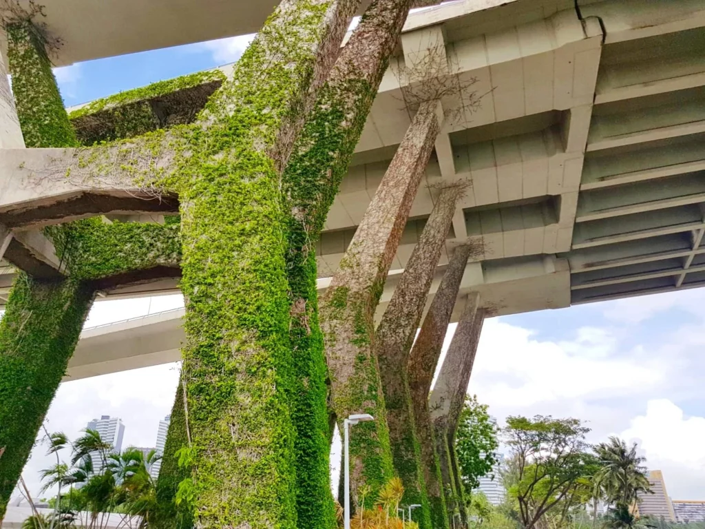 Cruising with Danny and Peter, Holland America Line, Westerdam, Singapore | Singapore bike tour through vibrant cityscapes with historic Chinatown and modern Orchard Road, ending with the Marina Bay water and light show featuring the Marina Bay Sands light display and stunning fountain show.