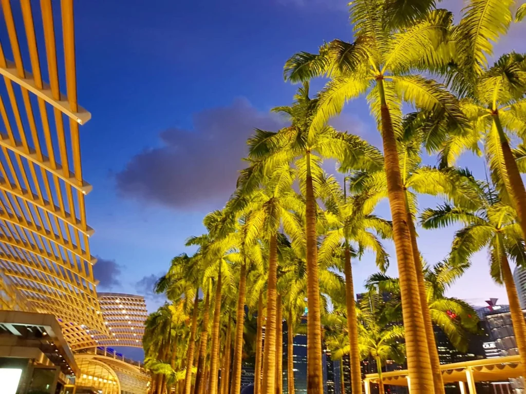 Cruising with Danny and Peter, Holland America Line, Westerdam, Singapore | Singapore bike tour through vibrant cityscapes with historic Chinatown and modern Orchard Road, ending with the Marina Bay water and light show featuring the Marina Bay Sands light display and stunning fountain show.