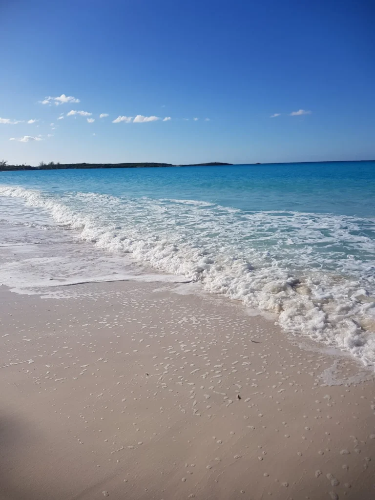 Cruising with Danny and Peter, Holland America Line, Nieuw Amsterdam, Half Moon Cay, Bahamas | Visitors enjoy a thrilling Half Moon Cay stingray adventure, snorkeling with gentle stingrays in crystal-clear Caribbean waters, surrounded by pristine beaches and tropical scenery.