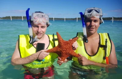 Cruising with Danny and Peter, Holland America Line, Nieuw Amsterdam, Half Moon Cay, Bahamas | Visitors enjoy a thrilling Half Moon Cay stingray adventure, snorkeling with gentle stingrays in crystal-clear Caribbean waters, surrounded by pristine beaches and tropical scenery.