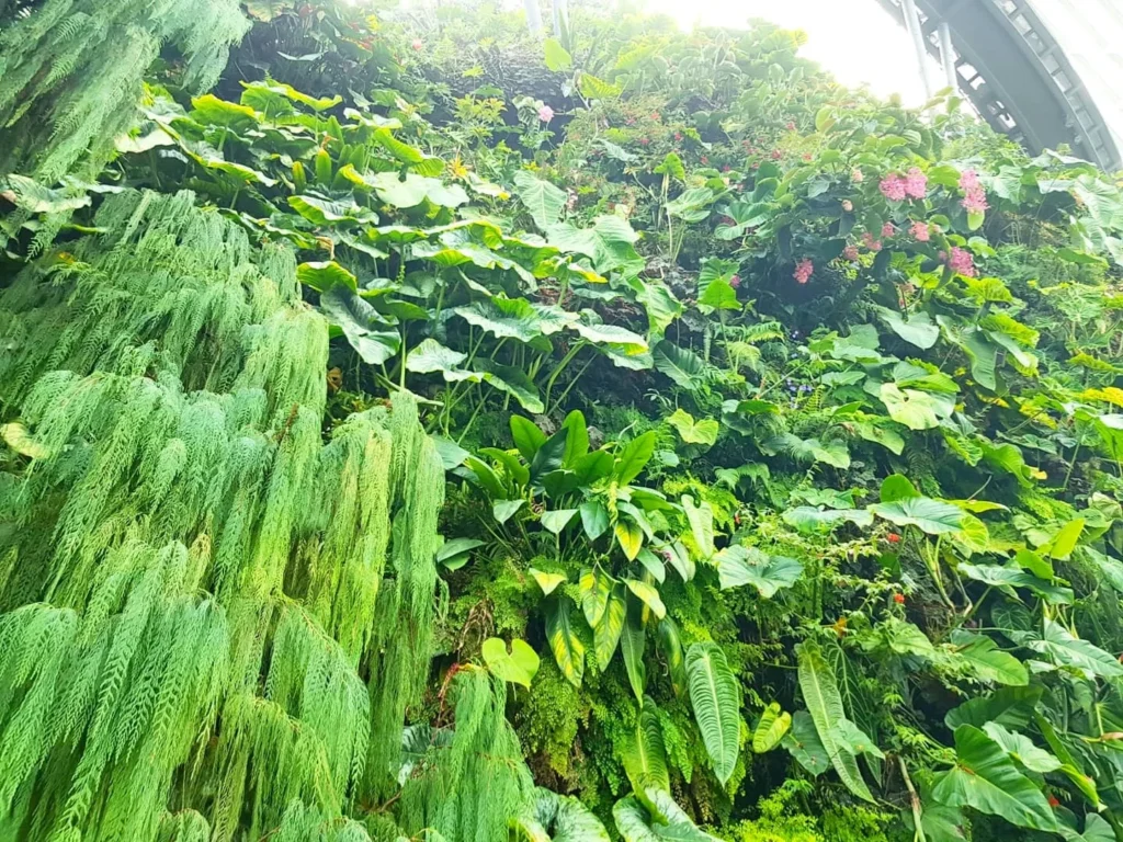 Cruising with Dannay and Peter, Holland America Line, Westerdam, Singapore | Image of Gardens by the Bay's Supertree Grove, Flower Dome Singapore, Cloud Forest Dome, and Changi Airport Jewel with Rain Vortex showcasing Singapore Gardens highlights.