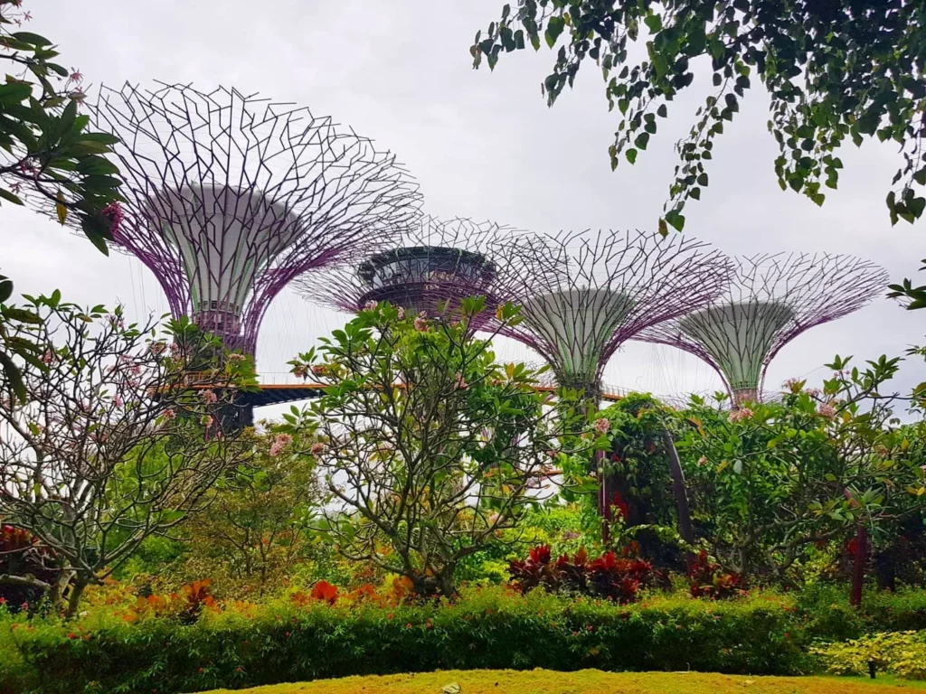 Cruising with Dannay and Peter, Holland America Line, Westerdam, Singapore | Image of Gardens by the Bay's Supertree Grove, Flower Dome Singapore, Cloud Forest Dome, and Changi Airport Jewel with Rain Vortex showcasing Singapore Gardens highlights.