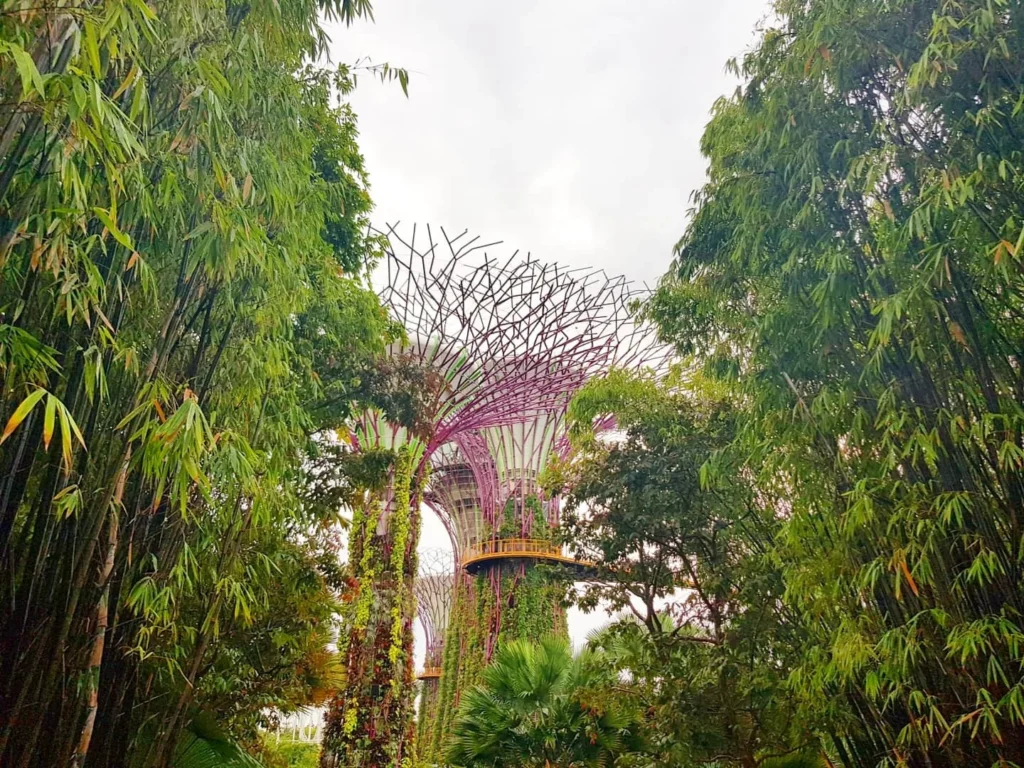 Cruising with Dannay and Peter, Holland America Line, Westerdam, Singapore | Image of Gardens by the Bay's Supertree Grove, Flower Dome Singapore, Cloud Forest Dome, and Changi Airport Jewel with Rain Vortex showcasing Singapore Gardens highlights.