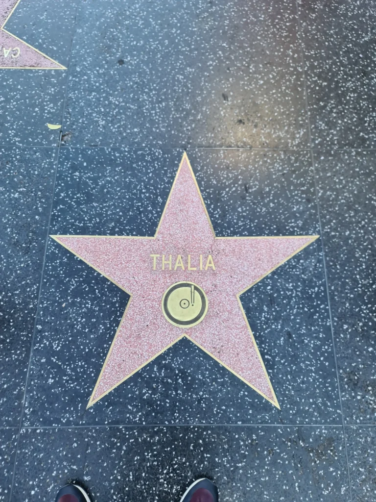 Cruising with Danny and Peter, Holland America Line, Koningsdam, Los Angeles, California, United States | Hollywood Day Trip highlights: A steaming plate of sizzling bacon and freshly brewed coffee sets the stage for an exciting day exploring Los Angeles. Iconic landmarks like the Warner Bros Studio, showcasing Central Perk from Friends and Hogwarts from Harry Potter, bring movie magic to life. The glimmering Hollywood Walk of Fame features brass stars of legends like Marilyn Monroe, captured in crowd-free morning photos along bustling Hollywood Boulevard. The majestic Dolby Theatre dazzles with its Oscar stage and rich stories of Hollywood royalty. The famous Hollywood Sign stands tall against panoramic views of LA, offering a perfect photo backdrop, especially at sunset. Sunset Boulevard pulses with life, trendy cafés, and vibrant local flavors, culminating in a relaxing al fresco dinner under warm California skies. This cinematic adventure encapsulates the glamour, history, and charm of a quintessential Tinseltown experience.