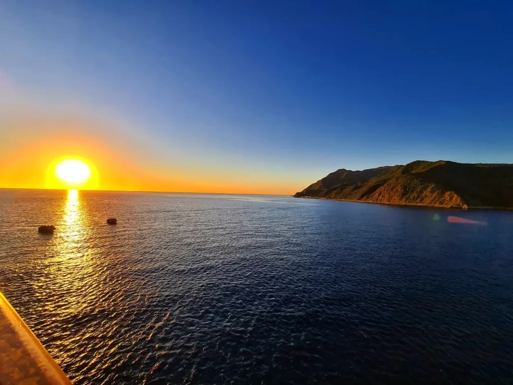 Cruising with Danny and Peter, Holland America Line, Koningsdam, Avalon, California, United States | Scenic Avalon Biking Adventures showcasing coastal views, cyclists on charming trails, Wrigley Memorial Gardens, and Catalina Island landscapes on an island biking tour.