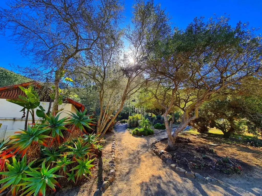 Cruising with Danny and Peter, Holland America Line, Koningsdam, Avalon, California, United States | Scenic Avalon Biking Adventures showcasing coastal views, cyclists on charming trails, Wrigley Memorial Gardens, and Catalina Island landscapes on an island biking tour.