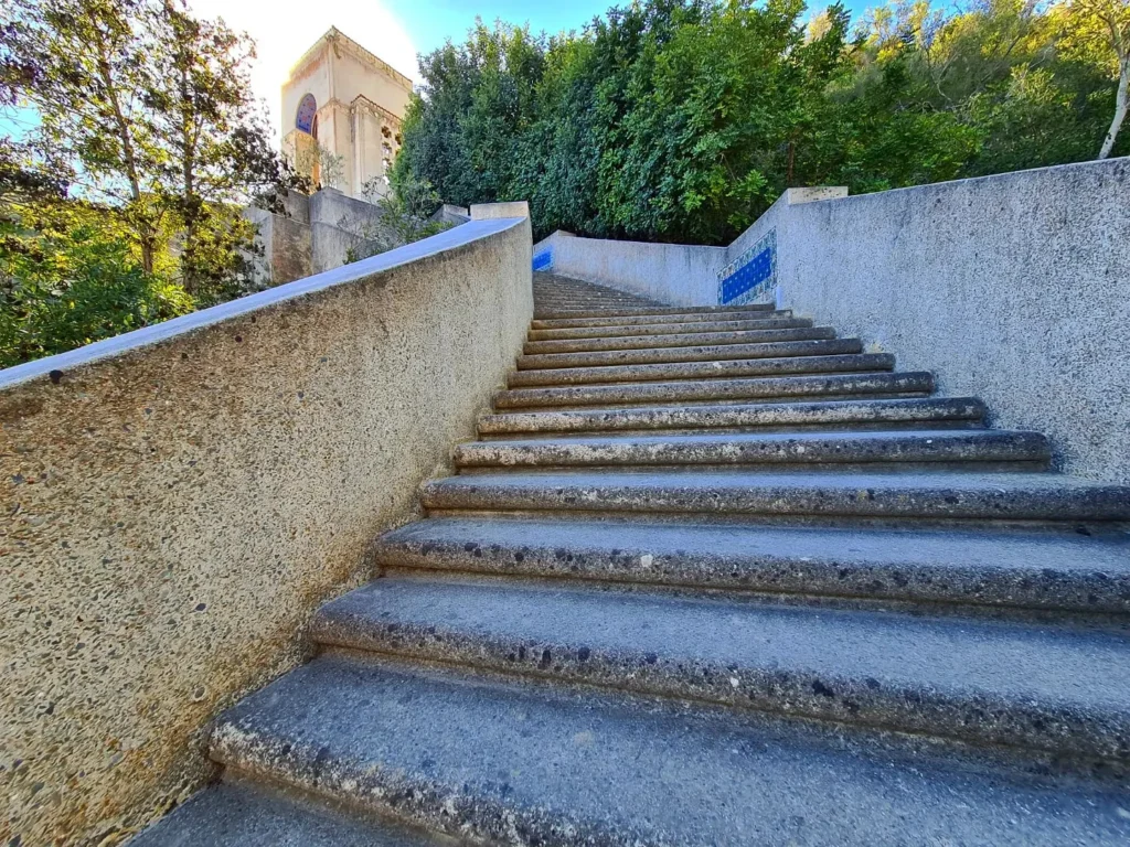 Cruising with Danny and Peter, Holland America Line, Koningsdam, Avalon, California, United States | Scenic Avalon Biking Adventures showcasing coastal views, cyclists on charming trails, Wrigley Memorial Gardens, and Catalina Island landscapes on an island biking tour.