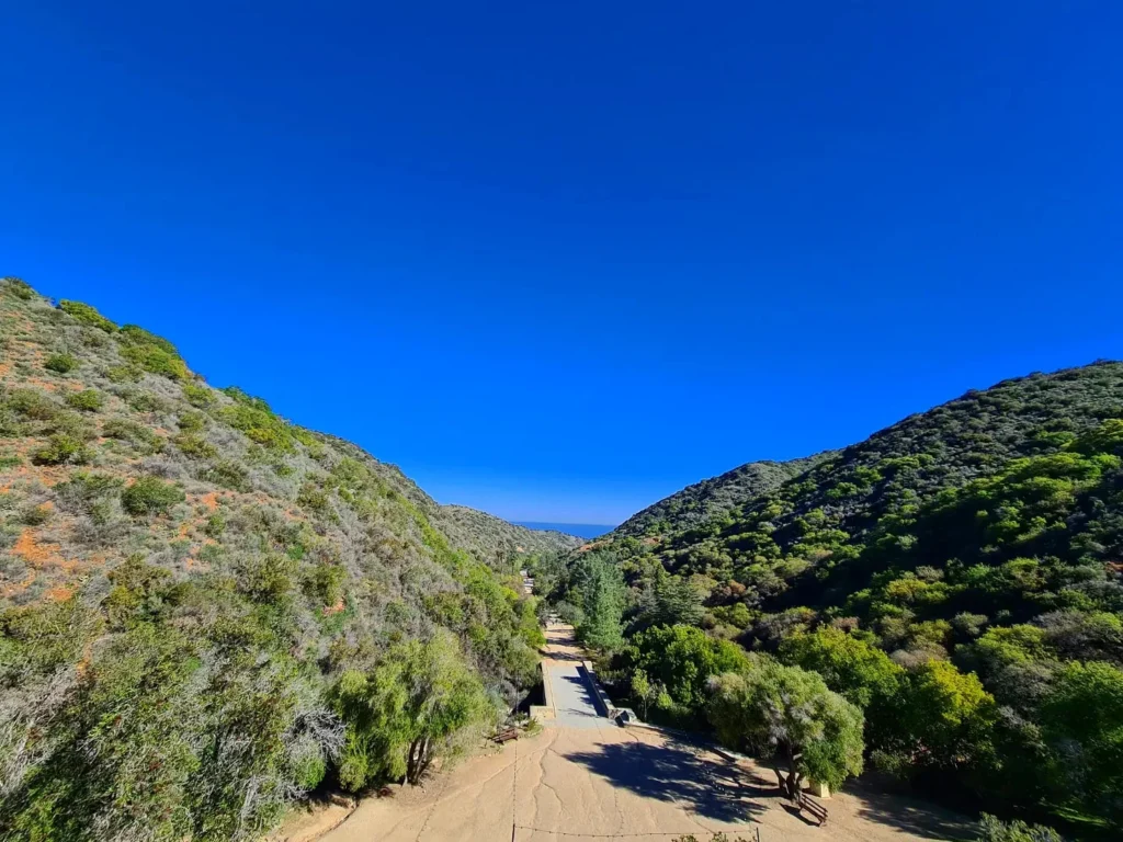 Cruising with Danny and Peter, Holland America Line, Koningsdam, Avalon, California, United States | Scenic Avalon Biking Adventures showcasing coastal views, cyclists on charming trails, Wrigley Memorial Gardens, and Catalina Island landscapes on an island biking tour.