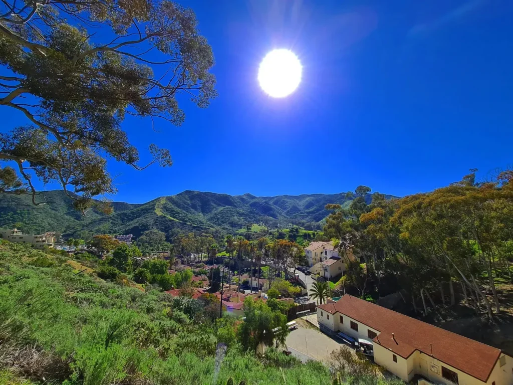 Cruising with Danny and Peter, Holland America Line, Koningsdam, Avalon, California, United States | Scenic Avalon Biking Adventures showcasing coastal views, cyclists on charming trails, Wrigley Memorial Gardens, and Catalina Island landscapes on an island biking tour.