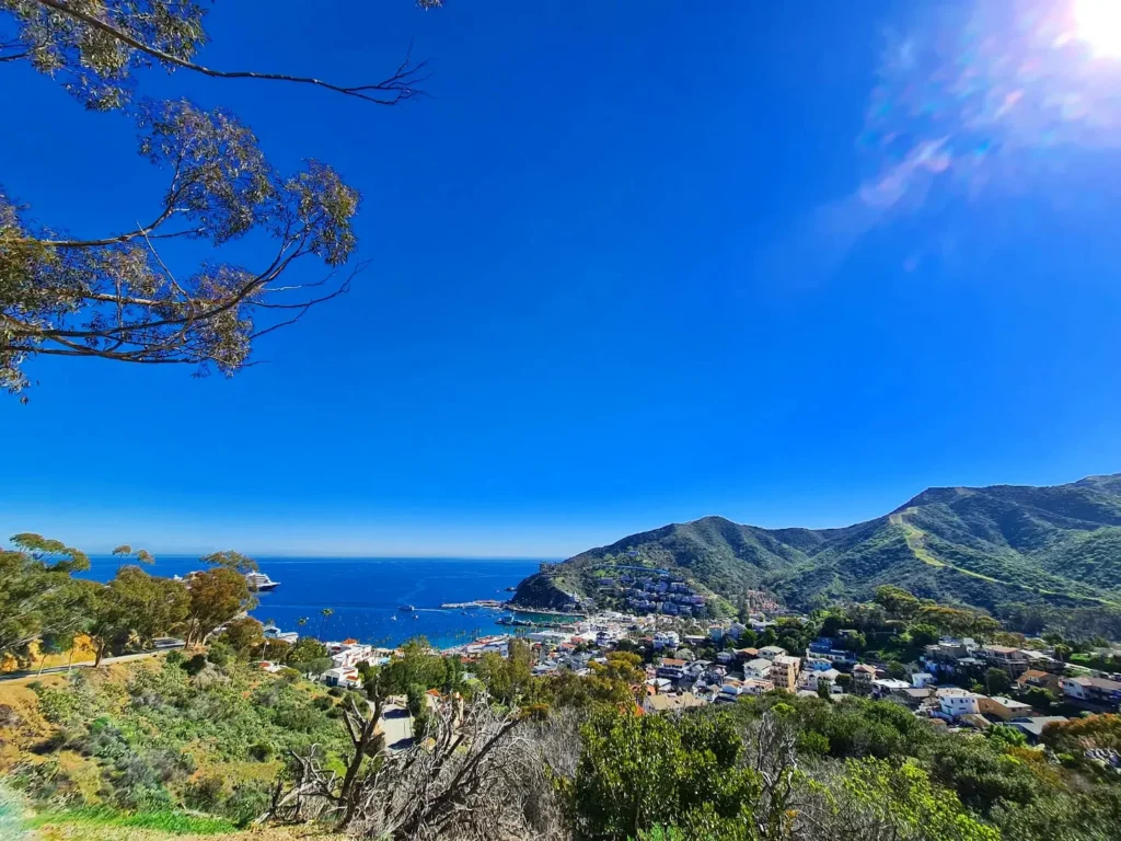 Cruising with Danny and Peter, Holland America Line, Koningsdam, Avalon, California, United States | Scenic Avalon Biking Adventures showcasing coastal views, cyclists on charming trails, Wrigley Memorial Gardens, and Catalina Island landscapes on an island biking tour.