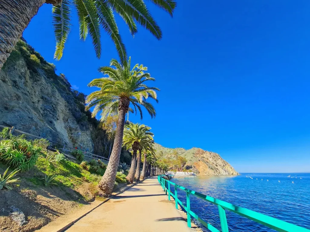 Cruising with Danny and Peter, Holland America Line, Koningsdam, Avalon, California, United States | Scenic Avalon Biking Adventures showcasing coastal views, cyclists on charming trails, Wrigley Memorial Gardens, and Catalina Island landscapes on an island biking tour.