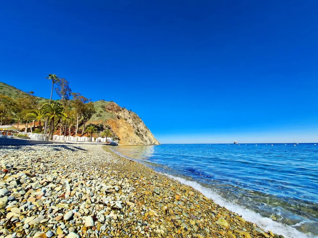 Cruising with Danny and Peter, Holland America Line, Koningsdam, Avalon, California, United States | Scenic Avalon Biking Adventures showcasing coastal views, cyclists on charming trails, Wrigley Memorial Gardens, and Catalina Island landscapes on an island biking tour.