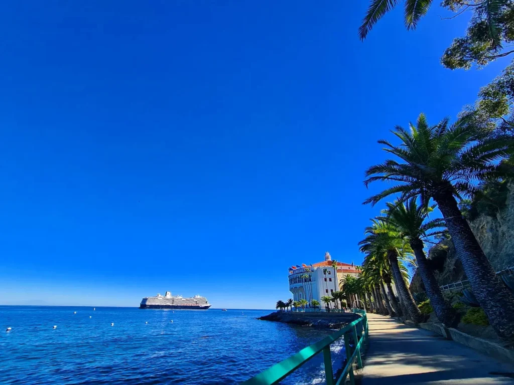 Cruising with Danny and Peter, Holland America Line, Koningsdam, Avalon, California, United States | Scenic Avalon Biking Adventures showcasing coastal views, cyclists on charming trails, Wrigley Memorial Gardens, and Catalina Island landscapes on an island biking tour.