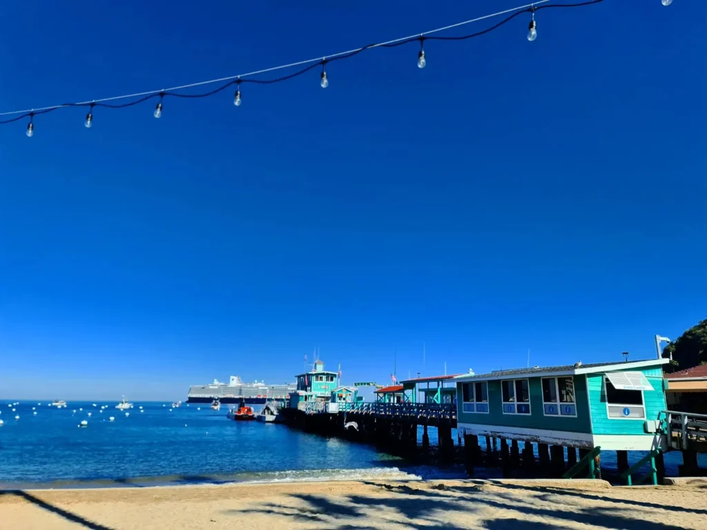 Cruising with Danny and Peter, Holland America Line, Koningsdam, Avalon, California, United States | Scenic Avalon Biking Adventures showcasing coastal views, cyclists on charming trails, Wrigley Memorial Gardens, and Catalina Island landscapes on an island biking tour.
