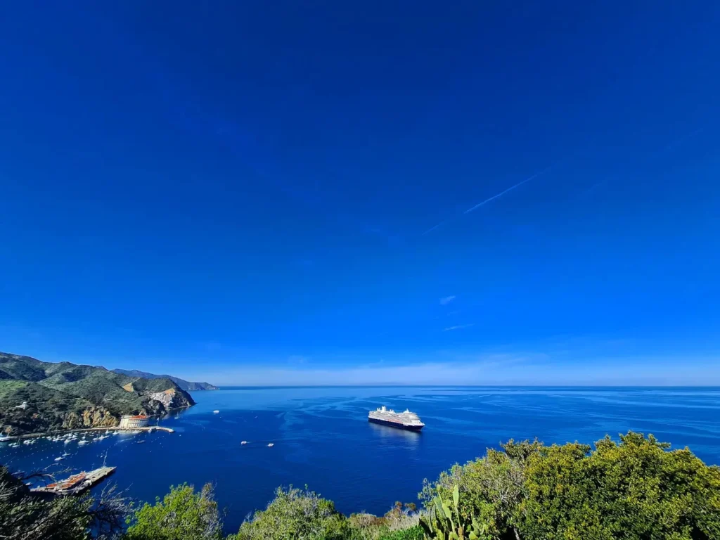 Cruising with Danny and Peter, Holland America Line, Koningsdam, Avalon, California, United States | Scenic Avalon Biking Adventures showcasing coastal views, cyclists on charming trails, Wrigley Memorial Gardens, and Catalina Island landscapes on an island biking tour.