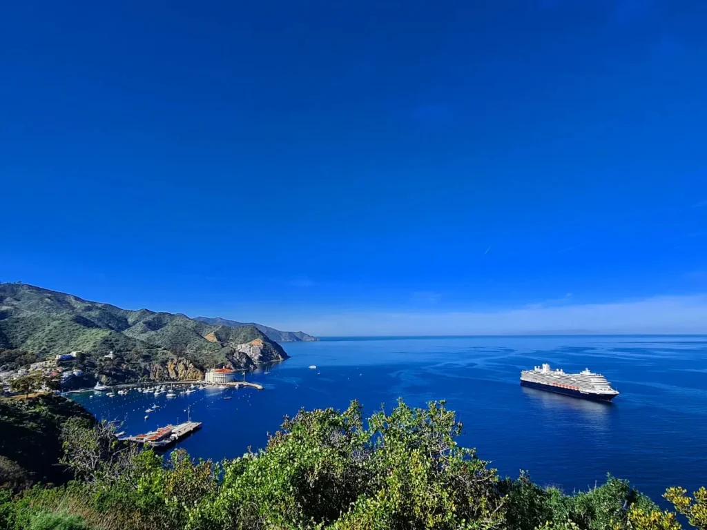 Cruising with Danny and Peter, Holland America Line, Koningsdam, Avalon, California, United States | Scenic Avalon Biking Adventures showcasing coastal views, cyclists on charming trails, Wrigley Memorial Gardens, and Catalina Island landscapes on an island biking tour.