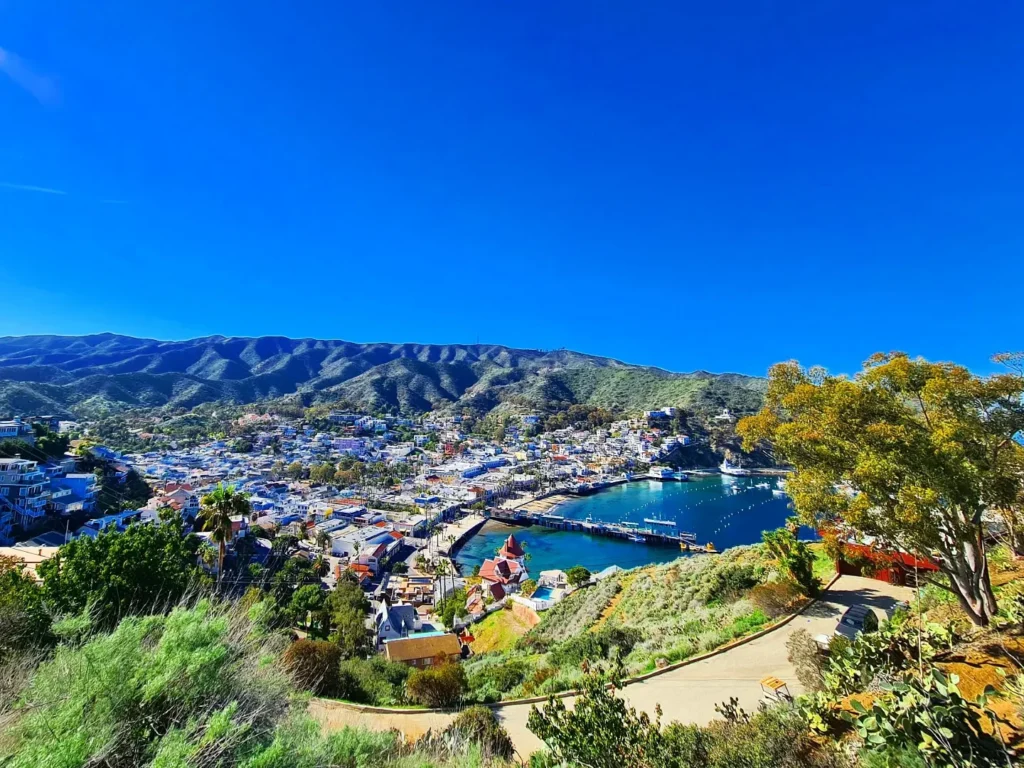 Cruising with Danny and Peter, Holland America Line, Koningsdam, Avalon, California, United States | Scenic Avalon Biking Adventures showcasing coastal views, cyclists on charming trails, Wrigley Memorial Gardens, and Catalina Island landscapes on an island biking tour.
