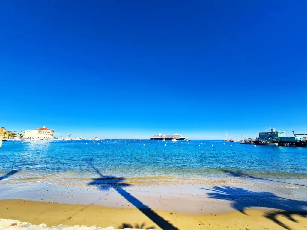 Cruising with Danny and Peter, Holland America Line, Koningsdam, Avalon, California, United States | Scenic Avalon Biking Adventures showcasing coastal views, cyclists on charming trails, Wrigley Memorial Gardens, and Catalina Island landscapes on an island biking tour.